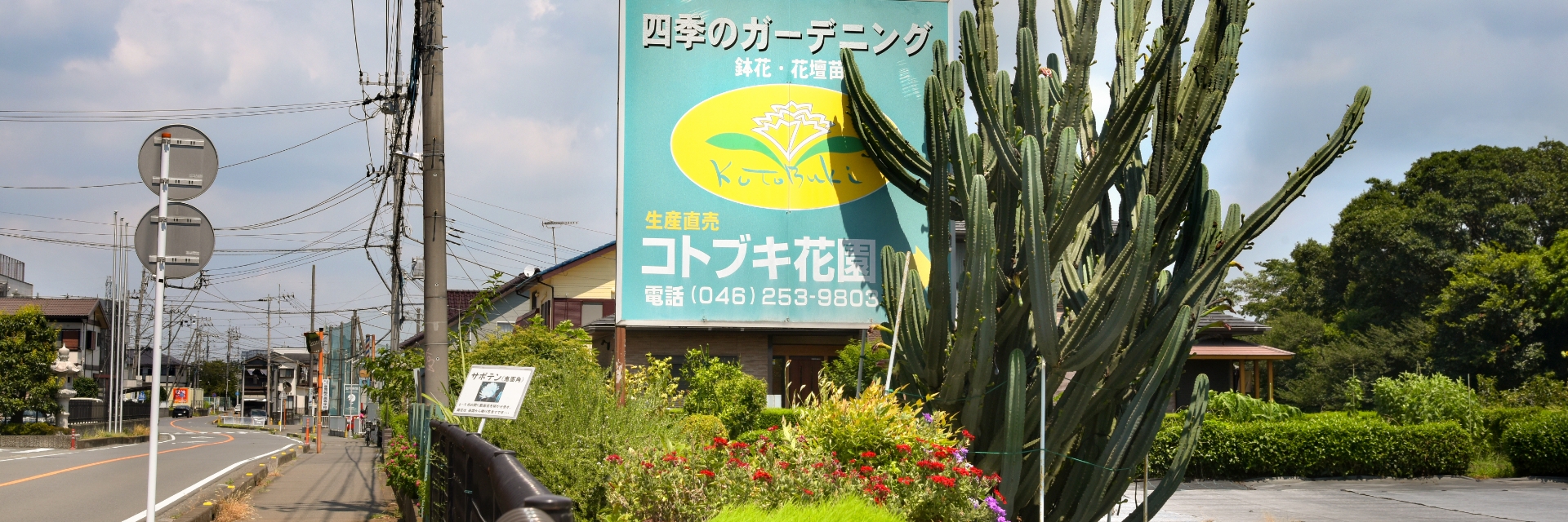 コトブキ花園