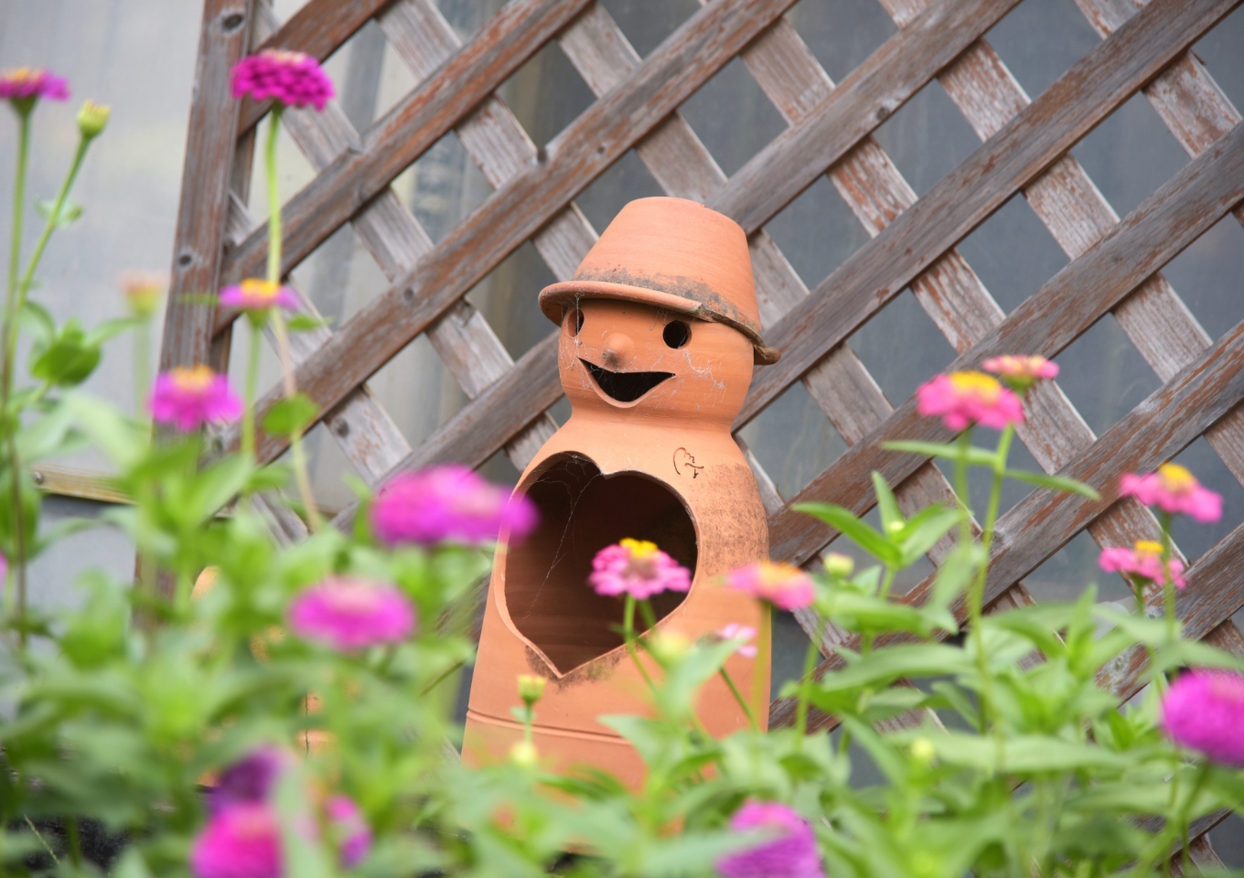 コトブキ花園