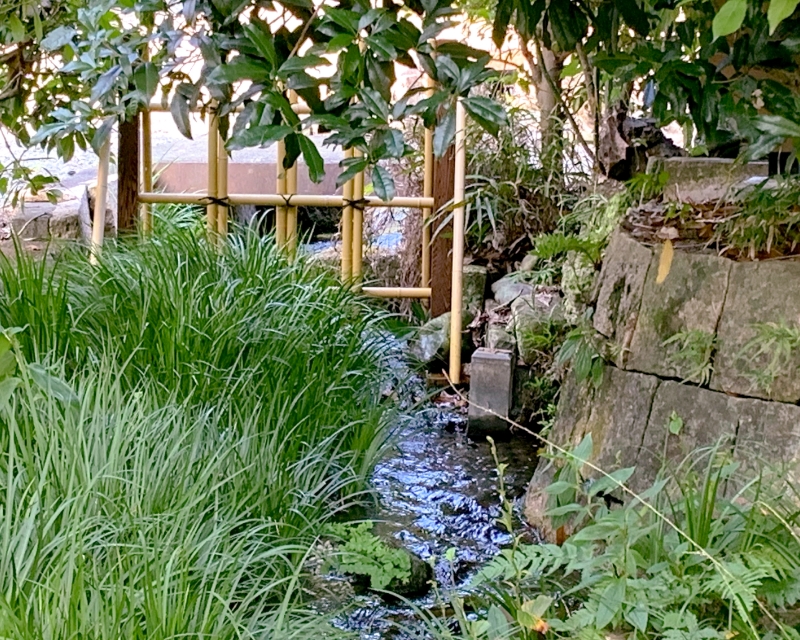 湧水のせせらぎが、暮らしの中で大切にされています