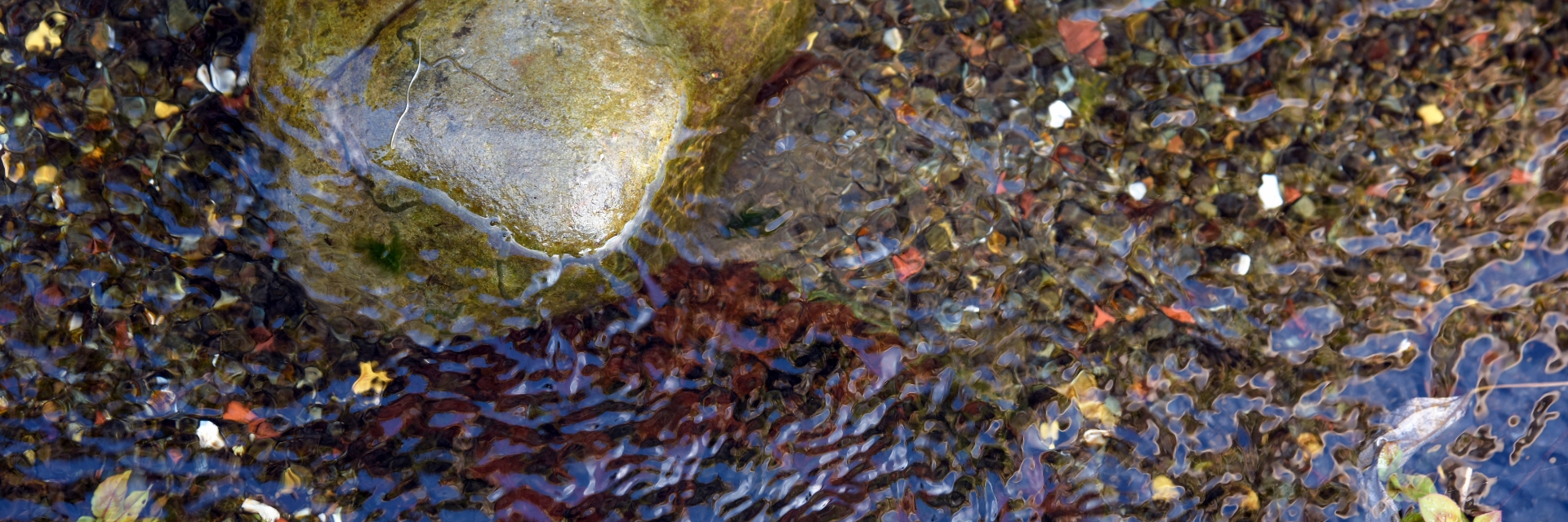 地層によって磨かれた、ミネラル豊富な「湧水」だから