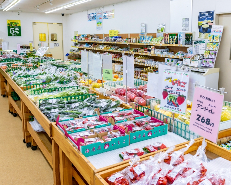 さがみの大地と太陽の恵みで育った新鮮野菜が並びます