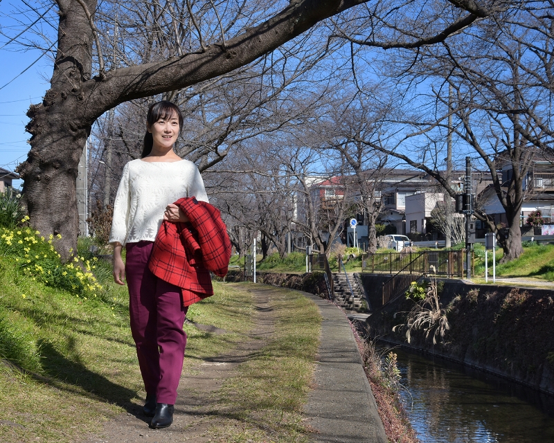 開花時は桜のトンネルとなる、引地川沿いに整備された遊歩道