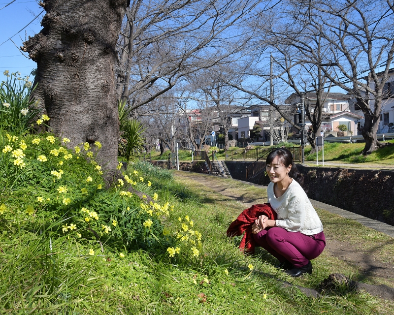 木陰に咲く花たちも気持ちよさそう