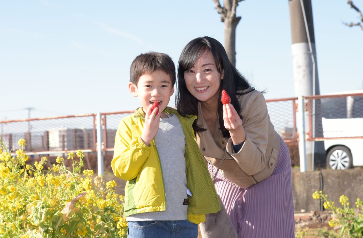 神奈川の新作イチゴ、味も姿も美しい「かなこまち」