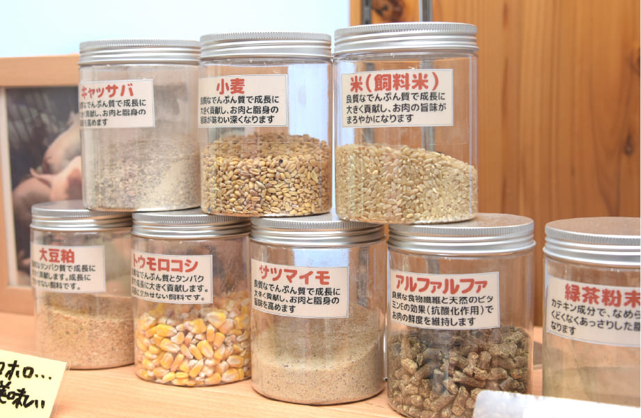 豚に与えるお米などの飼料を実際に展示