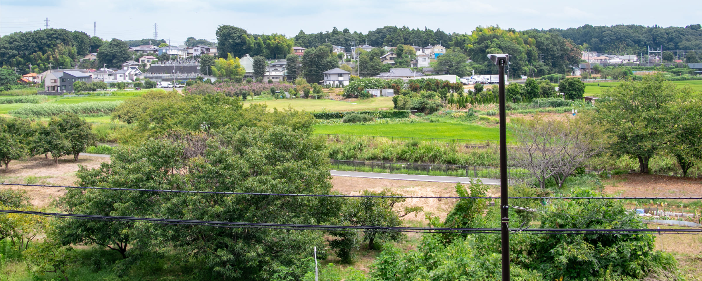 サイクリングロード風景