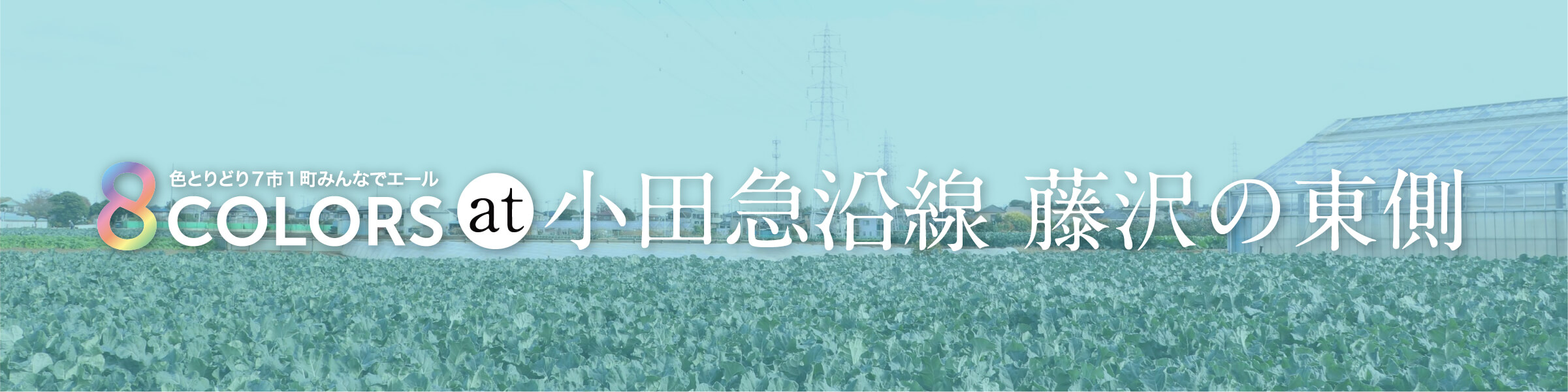 8 COLORS at 小田急線 藤沢の東側