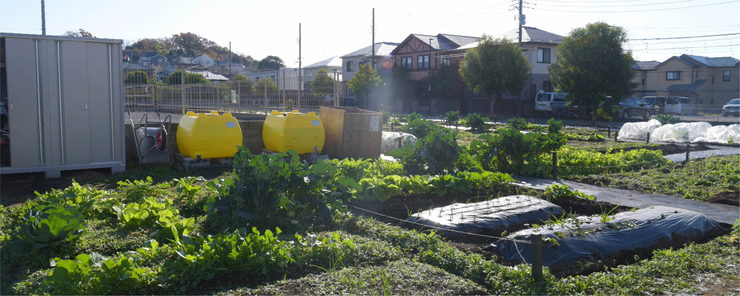住宅街の中に農地