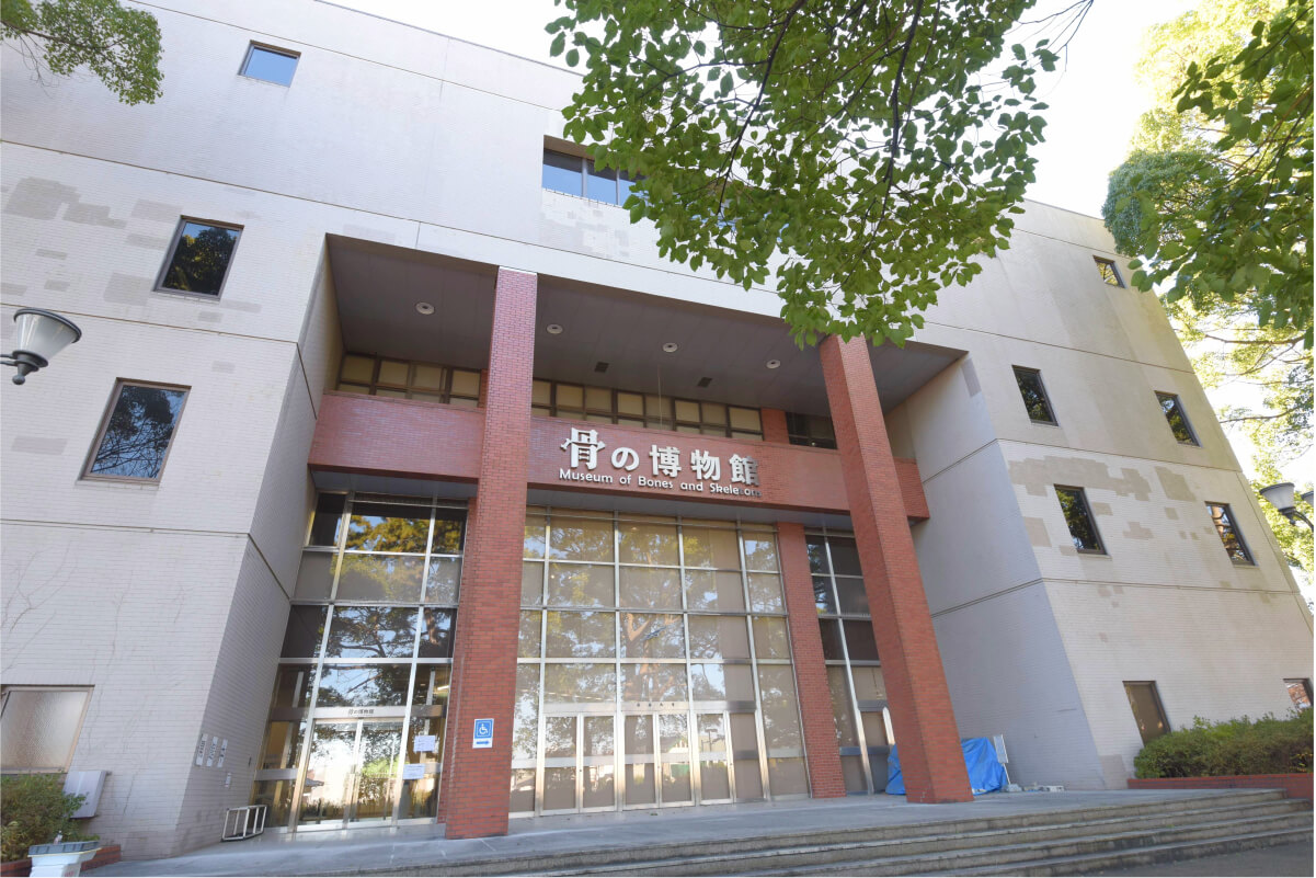 日本大学生物資源科学博物館の外観