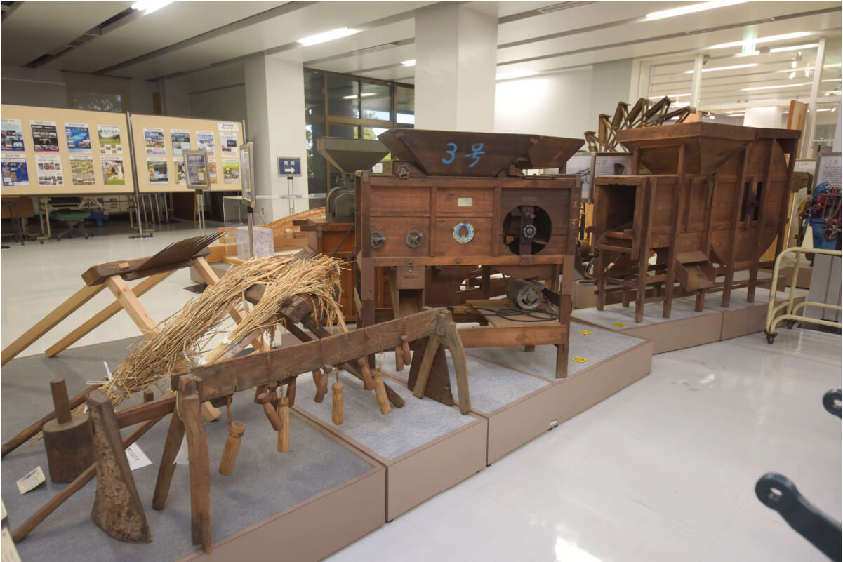 稲の起源をテーマにした標本や農具・漁具