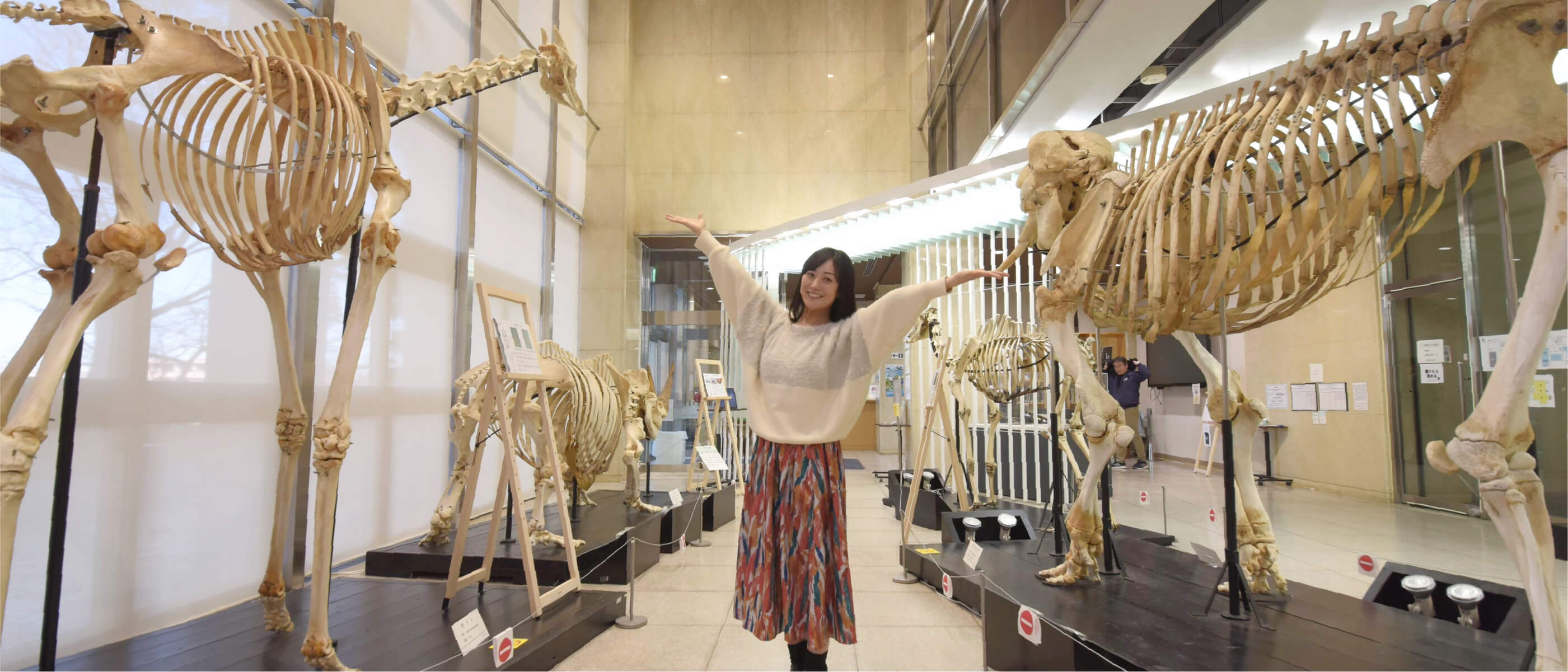 キリンとゾウの骨格標本の間で手を広げているリポーター