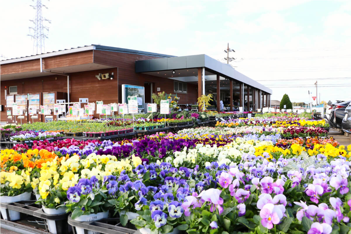 わいわい市藤沢店