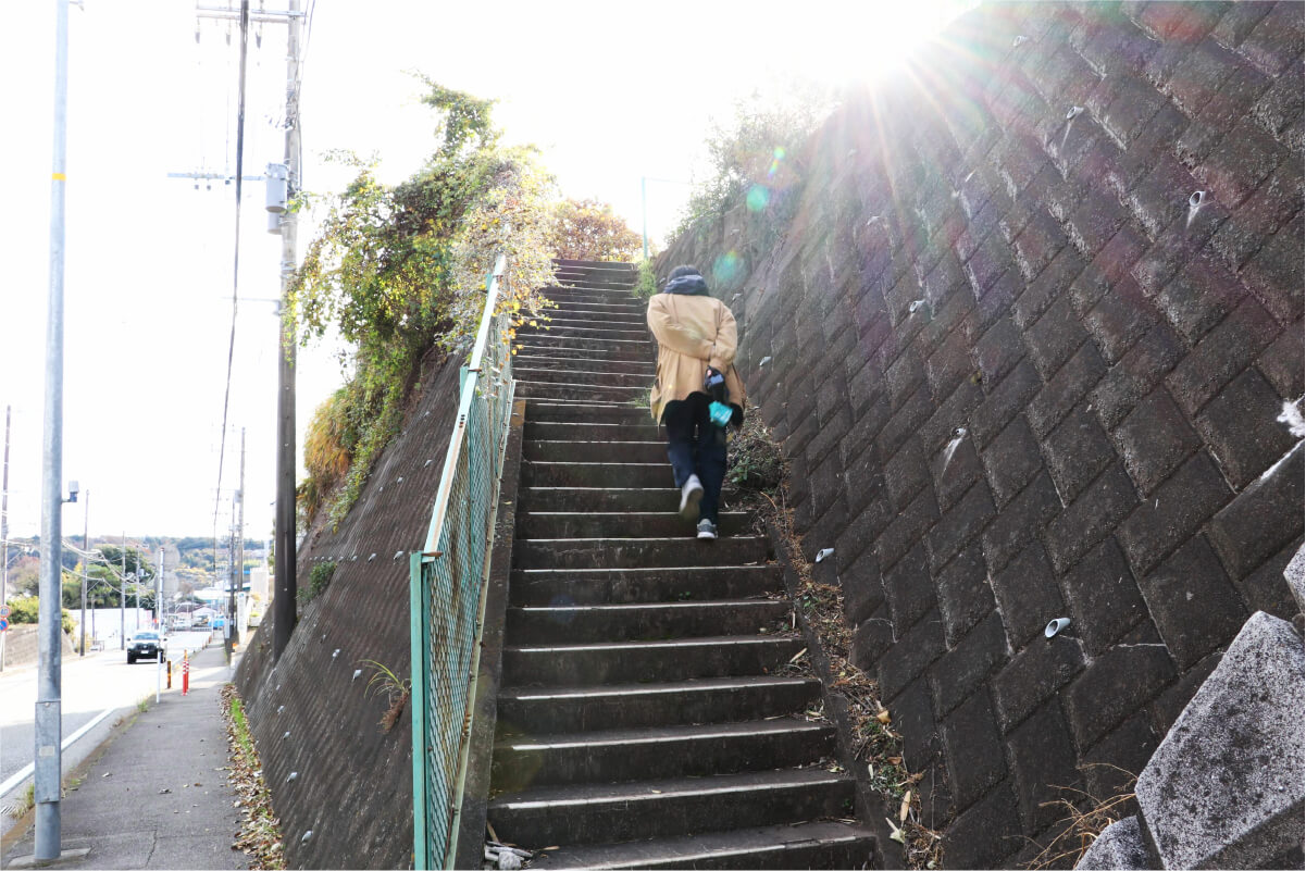 台地の上へ続く階段