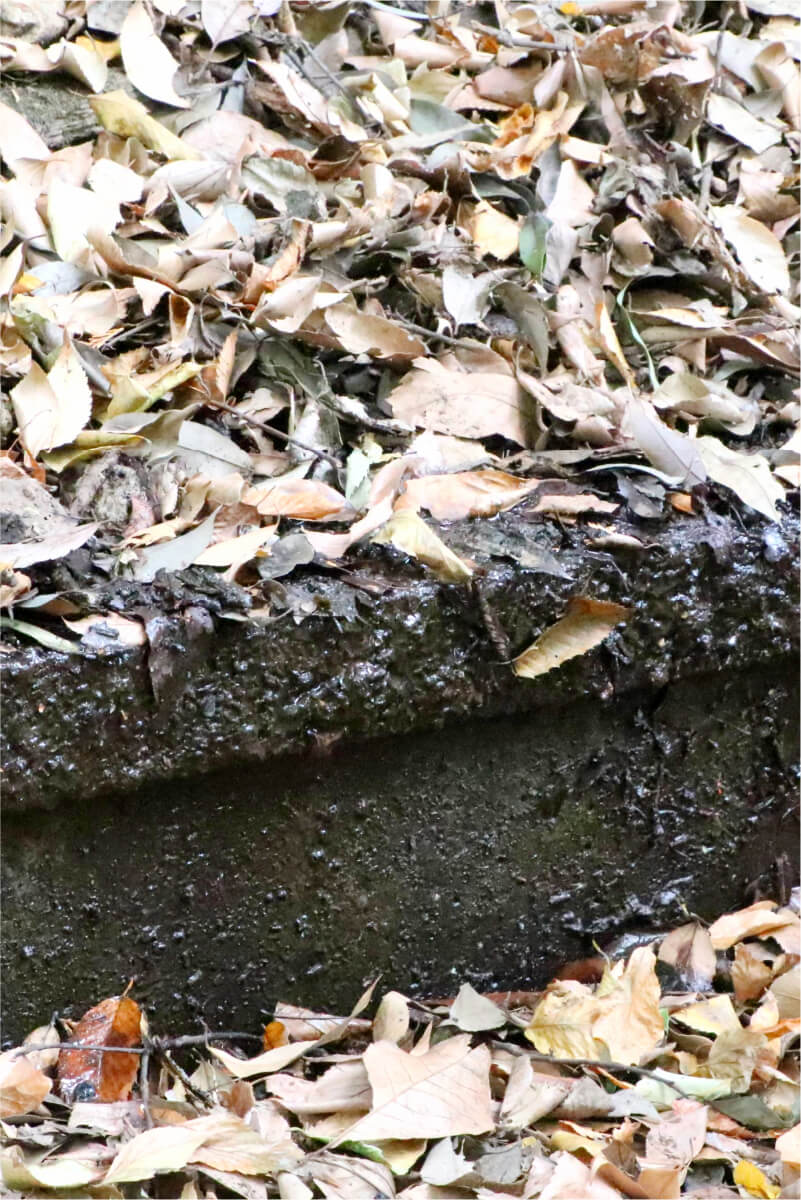 斜面から湧き出す清らかな清水