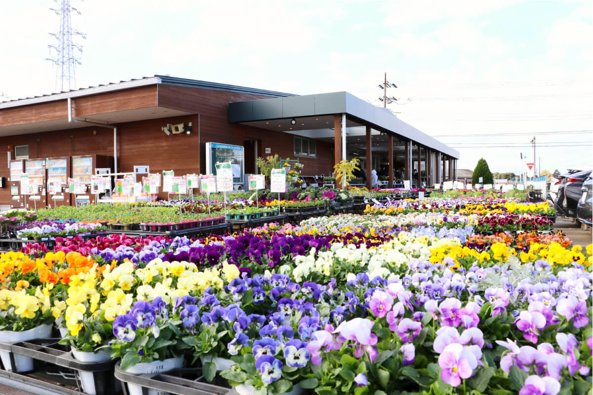 JAさがみ わいわい市藤沢店