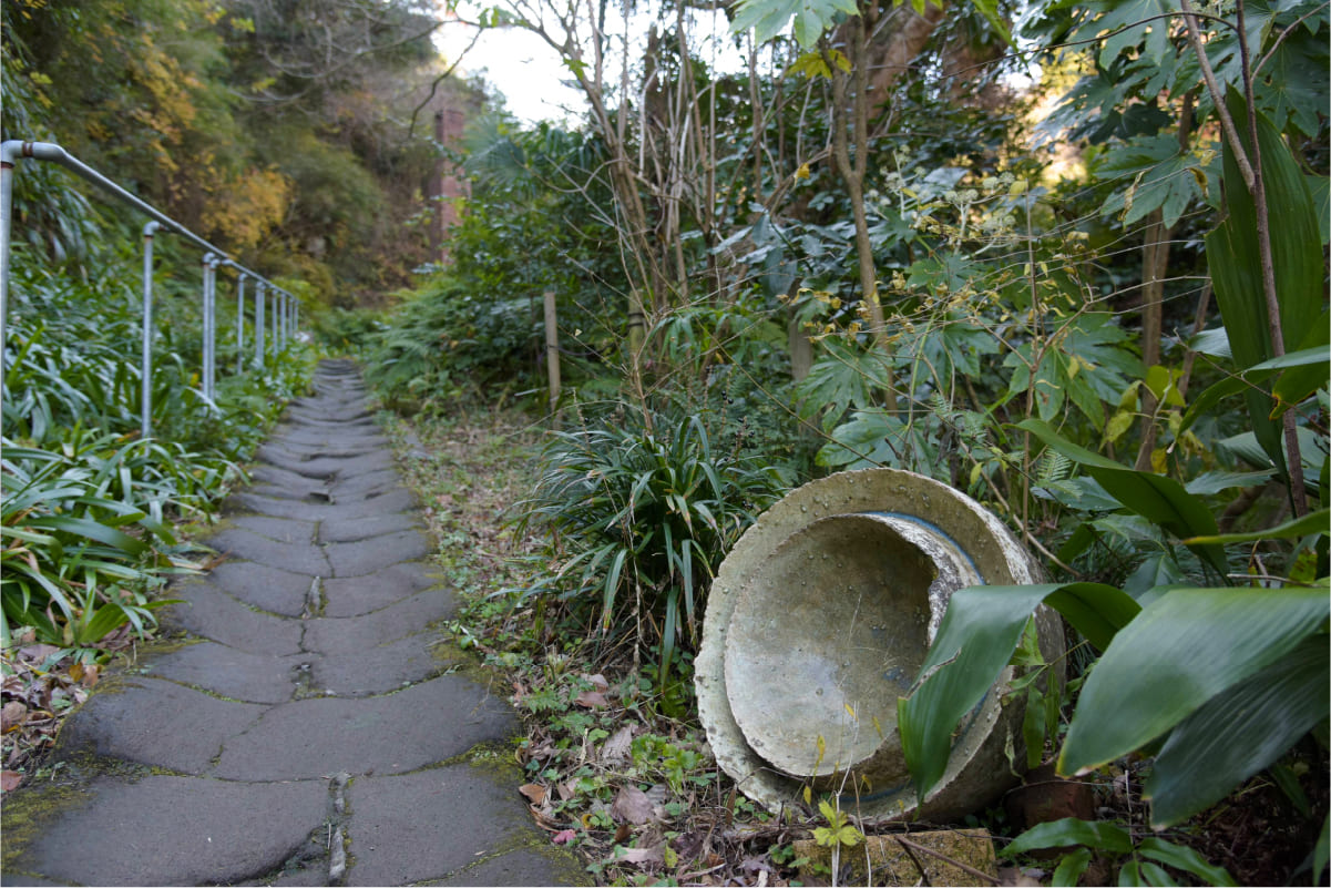谷戸の奥へと続く小径