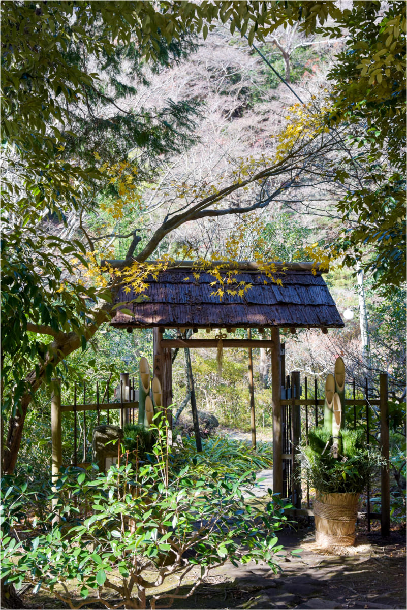 境内奥深くに位置する「たからの庭」