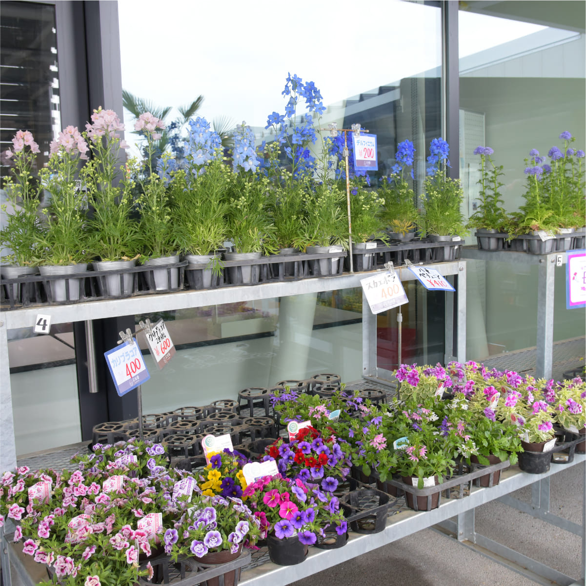 エントランスの花と苗のコーナー