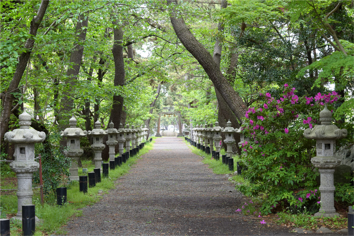 松並木の参道