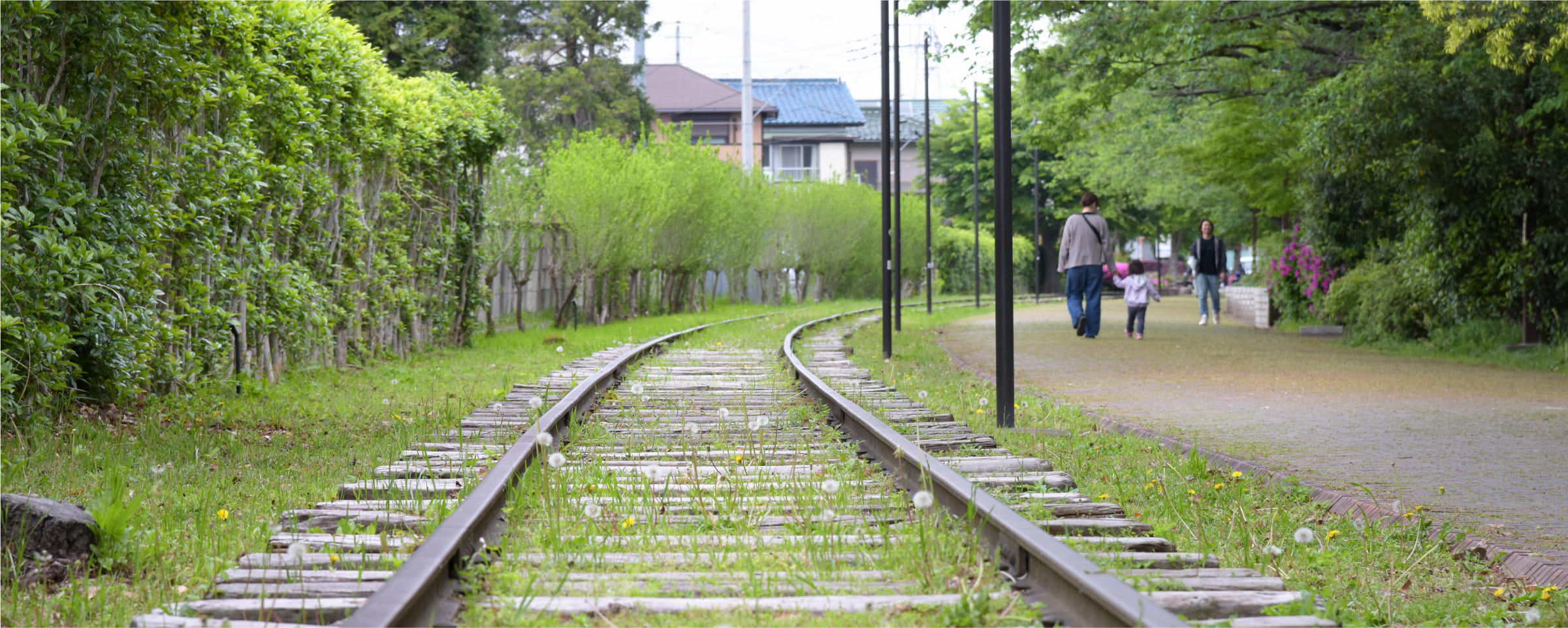 レール