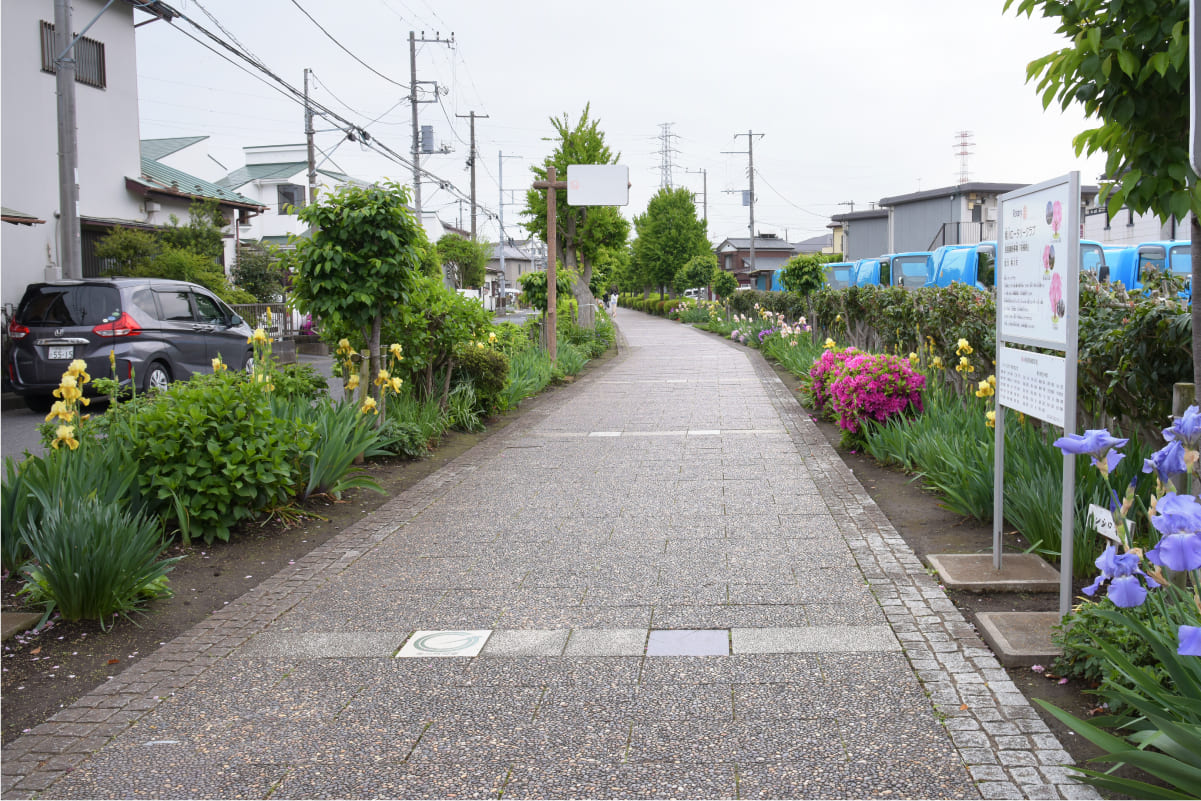 季節の花