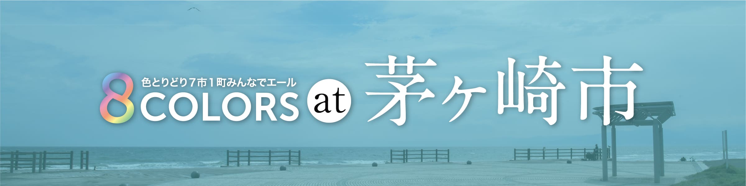 8 COLORS at 茅ヶ崎市