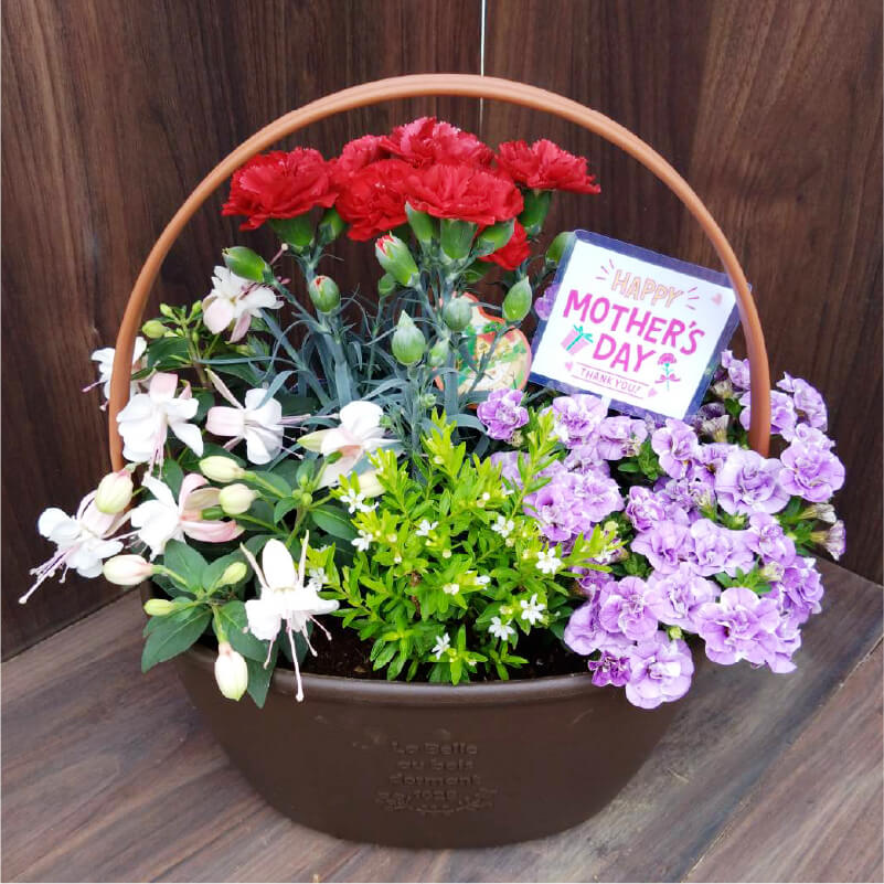 寄せ植えの花々